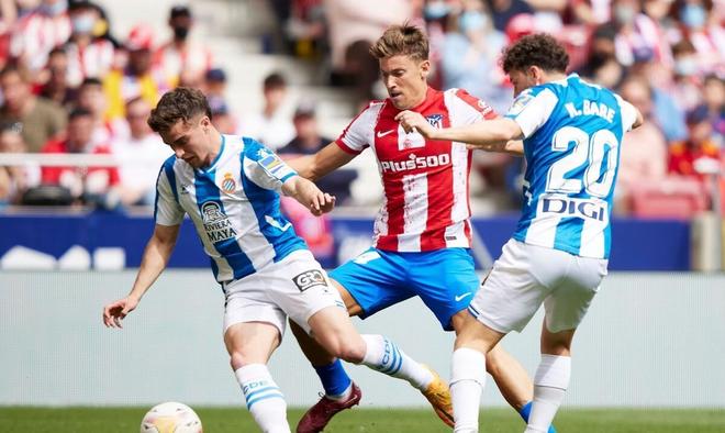 马的持久贡 马的持久贡