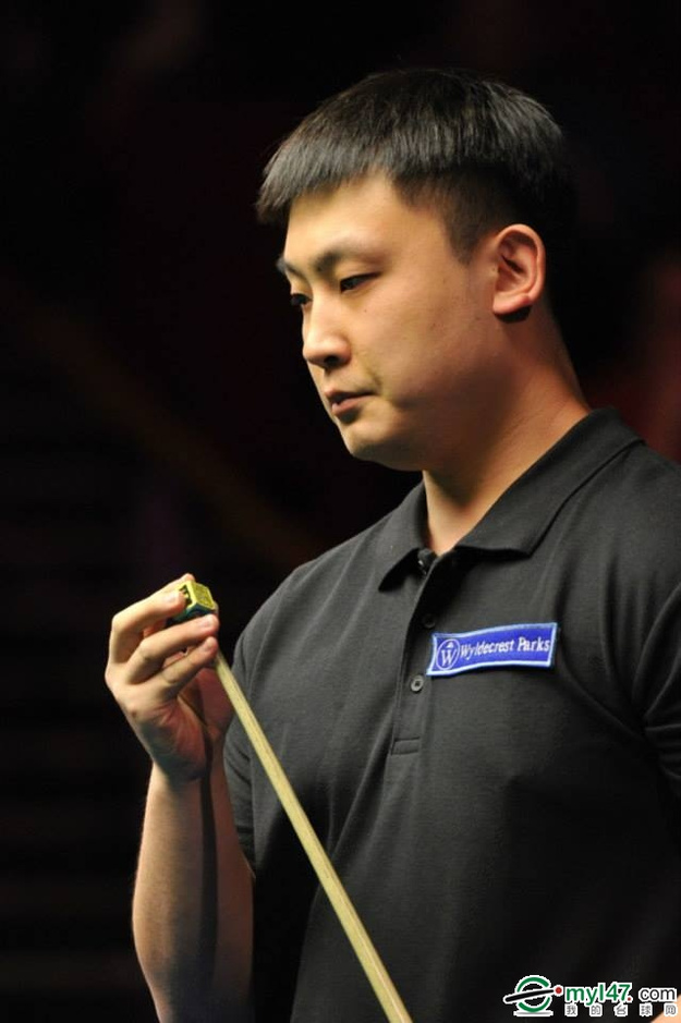 带和闪亮皮 带和闪亮皮